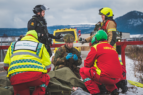 Photo_The Norwegian Armed Forces_small.png